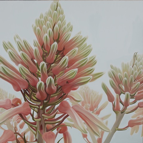 Succulent