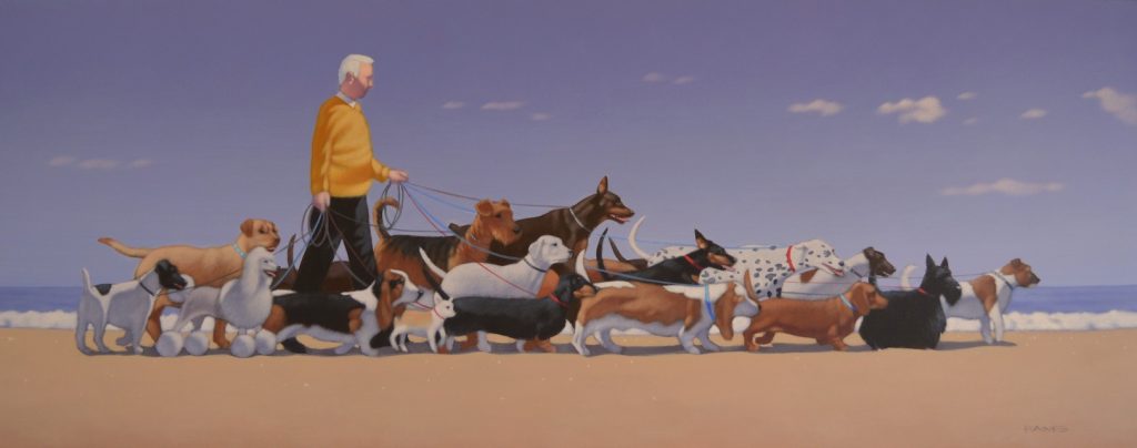 Gold Coast professional dog walker