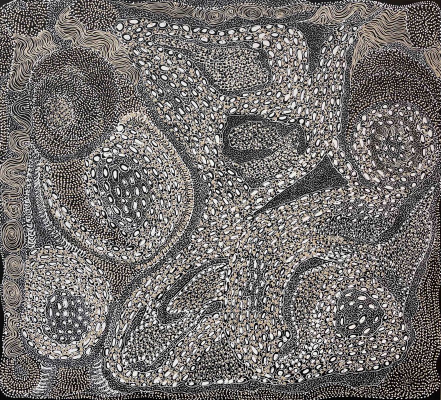 Ngintaka – Perentie 136