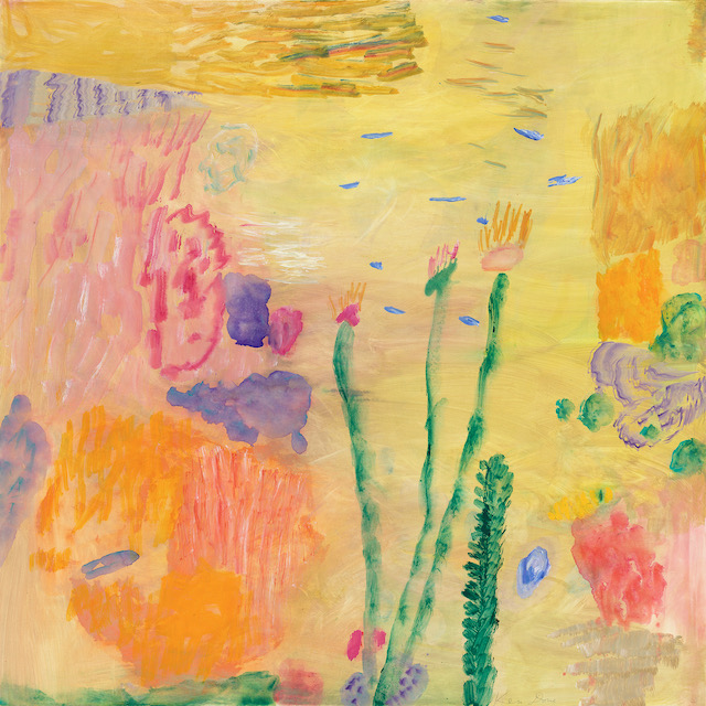 Warm yellow reef